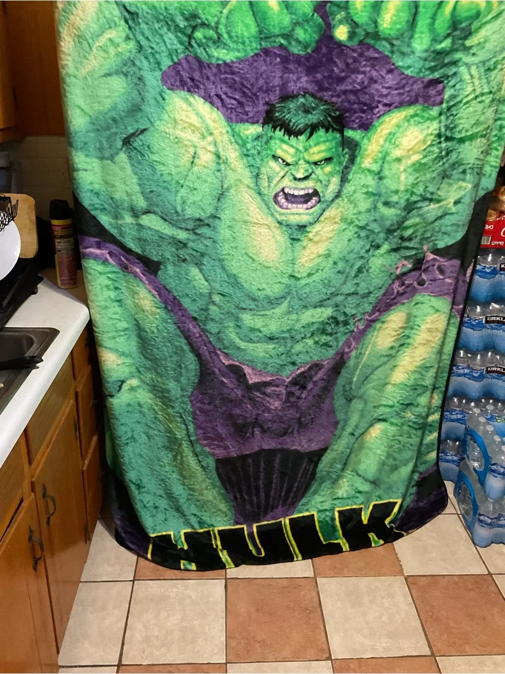 Marvel Hulk Plush Throw Blanket in Green and Purple
